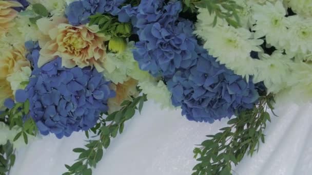 Azul e branco Floristics — Vídeo de Stock