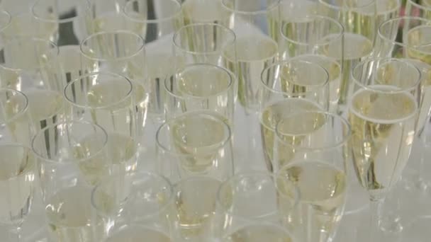 Verres de champagne — Video