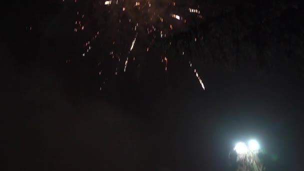 Het vuurwerk aan de nachtelijke hemel — Stockvideo