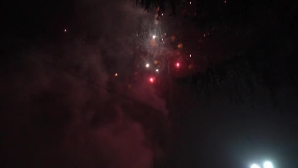 O céu noturno fogos de artifício — Vídeo de Stock