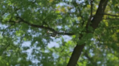 Drone Ağaçları Arkaplanı