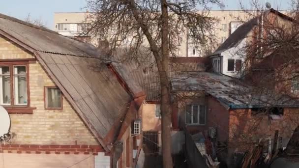 Arbre sec dans la cour 