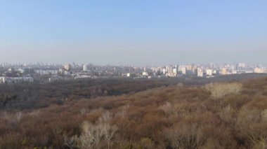 Orman ve Şehir Havası