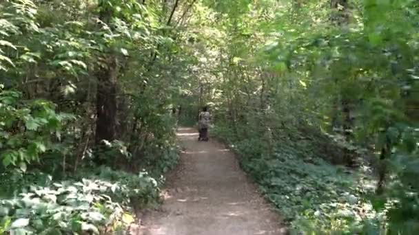 Frau mit Kinderwagen im Wald — Stockvideo