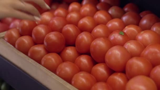 La mano femenina toma tomate — Vídeo de stock