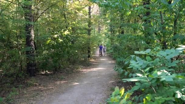 Молодая пара гуляет по лесу — стоковое видео