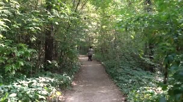 Женщина с коляской в лесу — стоковое видео