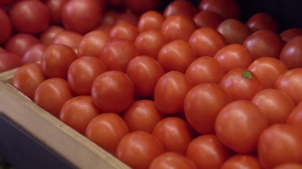 Жіноча рука бере помідор — стокове відео