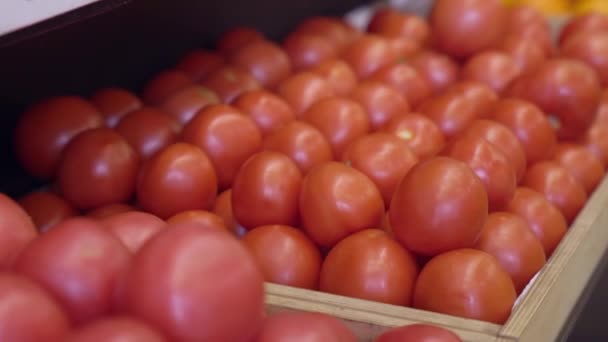 Ποικιλία Ντομάτες Λαχανικά — Αρχείο Βίντεο