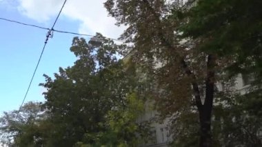 Eski Apartman Binası ve Ağaçlar