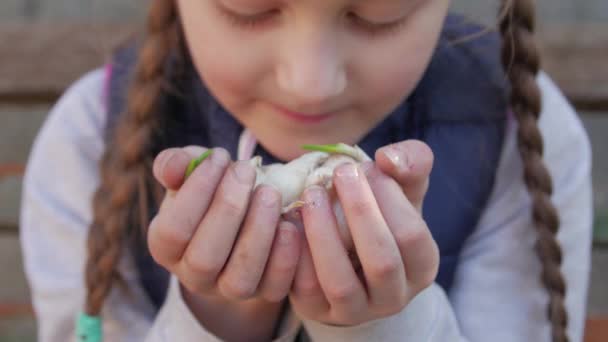 Μικρό κορίτσι με Seedlings — Αρχείο Βίντεο