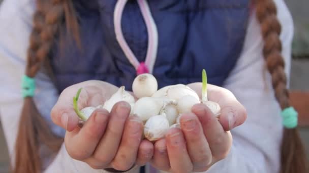 Little Girl White Seedlings — Stock video