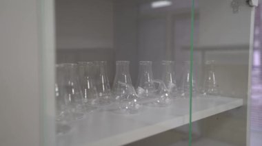 Laboratuvar Şeffaf Tüpleri