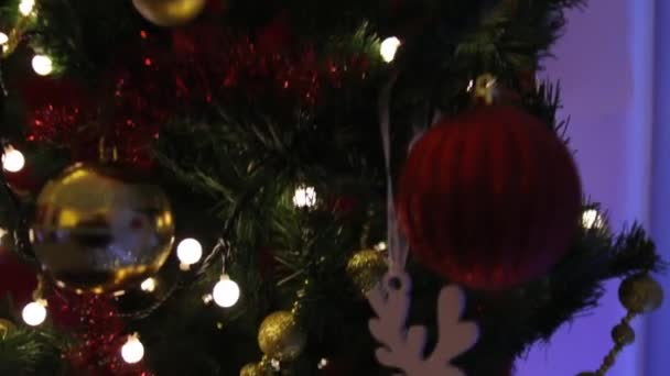 Guirnaldas oscuro árbol de Navidad — Vídeos de Stock