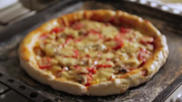 Горячая домашняя пицца — стоковое видео