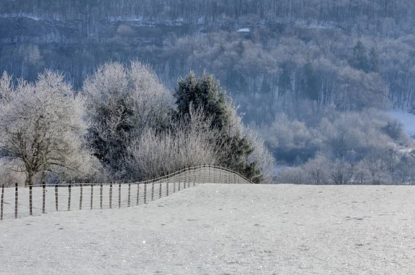 Winter landscape in Ornans France Royalty Free Stock Images