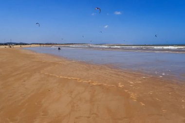 Fas 'ta Essaouira Plajı, Afrika.