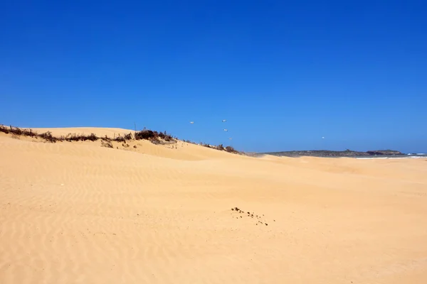 Spiaggia Essaouira Marocco Africa — Foto Stock