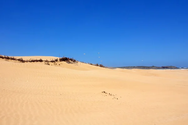 Essaouira Beach Morocco Africa Royalty Free Stock Images