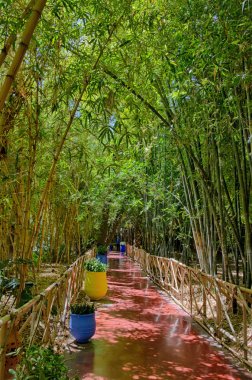 Majorelle Garden in Morocco clipart