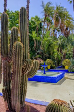 Majorelle Bahçe Fas