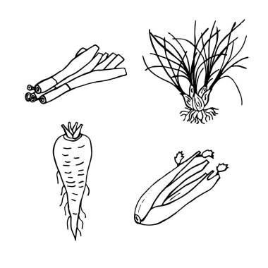 Set elle çizilmiş sebze