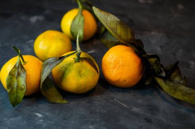 seçici odak, bir dalda sarı-yeşil mandalina