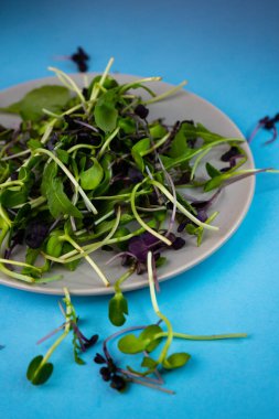 Seçici odak, mikro yeşillik salatası, sağlıklı filizler.