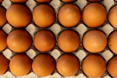 Seçici odaklanma, bir sürü kahverengi tavuk yumurtası.