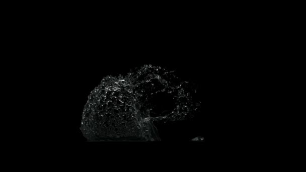 Splashes Water Black Background Alpha Channel Splashes Liquid — Stock Video