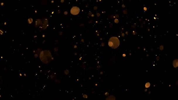 belle animation de particules volantes multicolores scintillantes dispersées sur un fond noir 