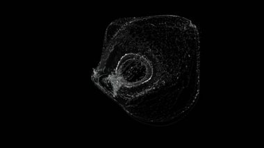kristal berrak su siyah arkaplan üzerine sıçradı