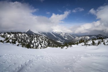 Garmisch-Partenkirchen otuzbir dağı, Bavyera, Almanya