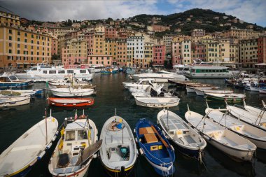 Camogli, Liguria, İtalya Limanı