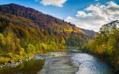 Sonbahar orman ve gökyüzü ve dağlar ve nehir