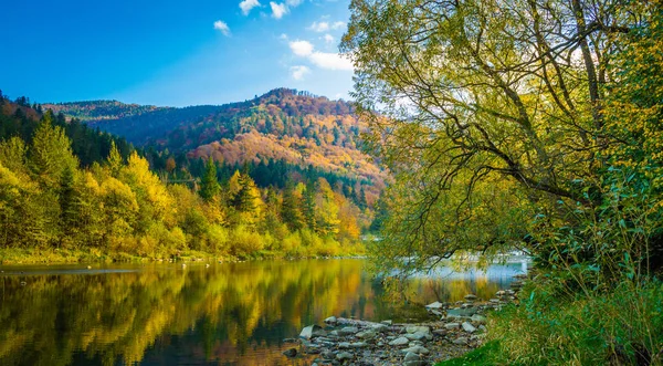 Sonbahar orman ve gökyüzü ve dağlar ve nehir