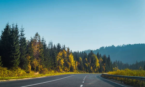 Strada e foresta autunnale — Foto Stock