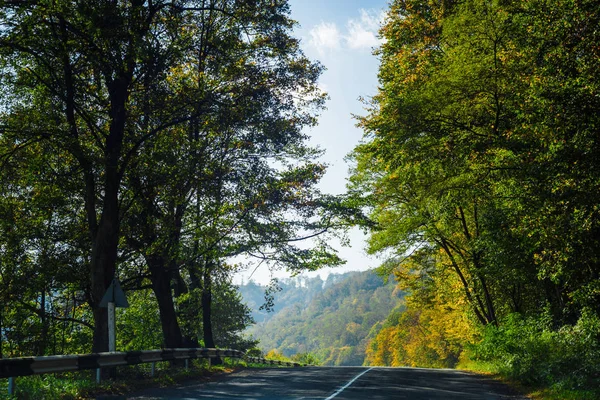 Drogi i jesień las — Zdjęcie stockowe