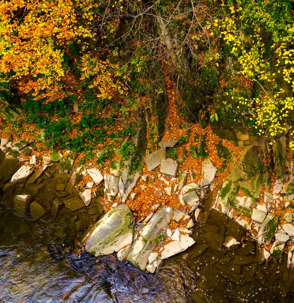 Jesień las i rzeka i skały. — Zdjęcie stockowe