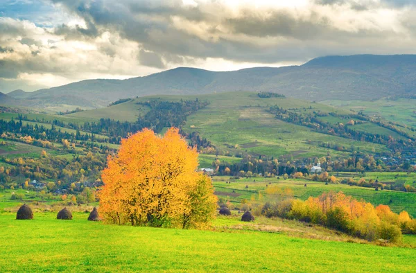 sonbahar dağ panorama