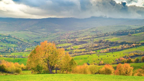sonbahar dağ panorama