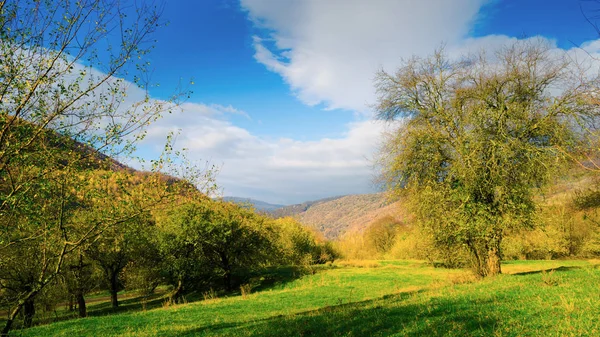 Sonbahar dağ ve Bahçe panorama