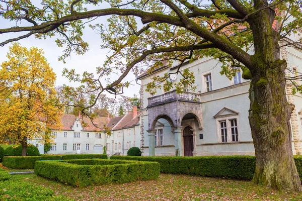 Topiary tuin in de herfst — Stockfoto