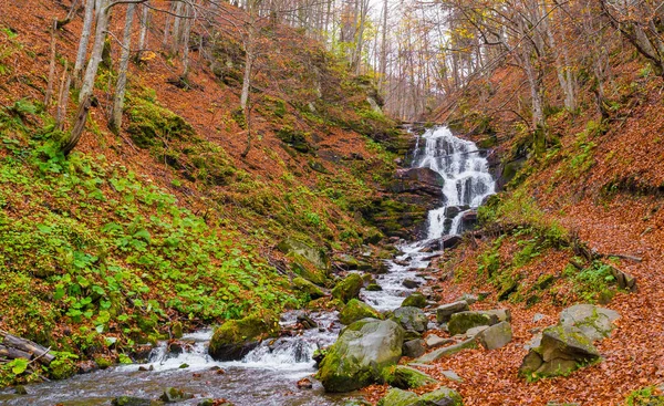 Осінній ліс з річкою і водоспадом — стокове фото