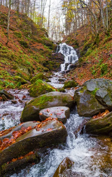 Осінній ліс з річкою і водоспадом — стокове фото