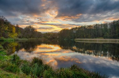 Gölde gün batımı Yazın yeşil çimenli ormanla.