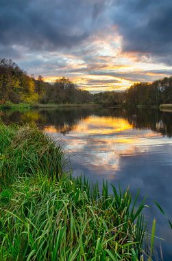 Gölde gün batımı Yazın yeşil çimenli ormanla.