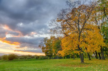 Sonbahar parkta güzel gün batımı