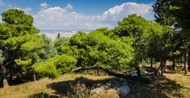 Atina ve ağaçlar dağ, Yunanistan.