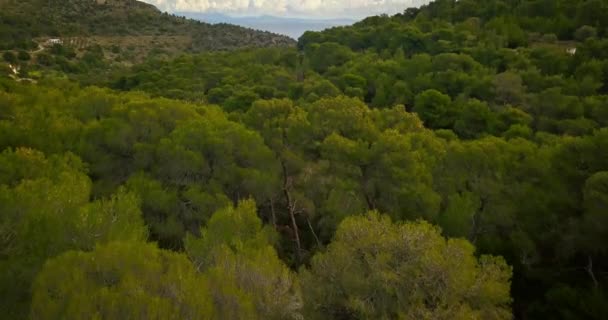 Vuelo Sobre Bosque Pinos Isla Egina Grecia Con Cielo Dramático — Vídeos de Stock